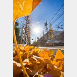 （Ｃ）日刊ゲンダイ