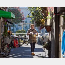 （Ｃ）日刊ゲンダイ