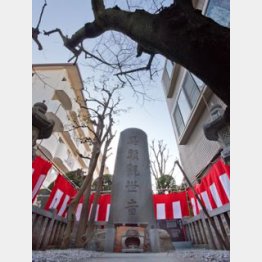 （Ｃ）日刊ゲンダイ