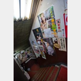 （Ｃ）日刊ゲンダイ