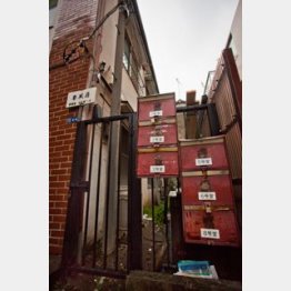 （Ｃ）日刊ゲンダイ