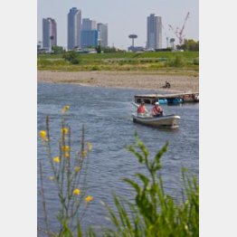 （Ｃ）日刊ゲンダイ