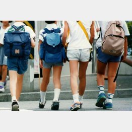 写真はイメージ／（Ｃ）日刊ゲンダイ