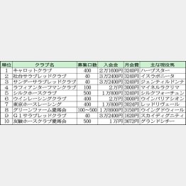 獲得賞金が多い１０法人／（Ｃ）日刊ゲンダイ