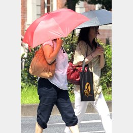 北海道では３７．８度も ／（Ｃ）日刊ゲンダイ