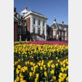 （Ｃ）日刊ゲンダイ