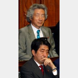 小泉にも出番？／（Ｃ）日刊ゲンダイ