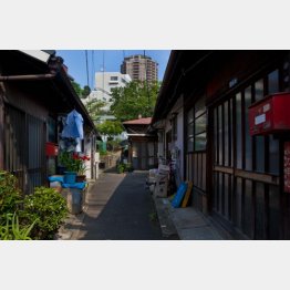 （Ｃ）日刊ゲンダイ