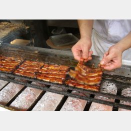 ホンモノは美味しいけど…／（Ｃ）日刊ゲンダイ