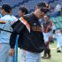 巨人は“交流戦太り”／（Ｃ）日刊ゲンダイ