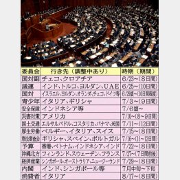 だから首相はやりたい放題／（Ｃ）日刊ゲンダイ