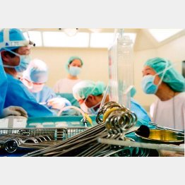 （写真はイメージです）／（Ｃ）日刊ゲンダイ