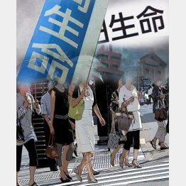 不明点はどんどん相談すべし／（Ｃ）日刊ゲンダイ