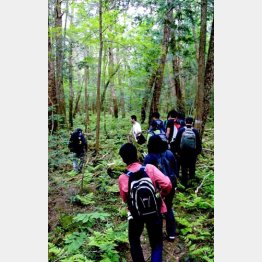 夏山には思わぬ落とし穴が／（Ｃ）日刊ゲンダイ