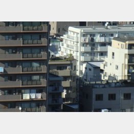 写真はイメージ／（Ｃ）日刊ゲンダイ