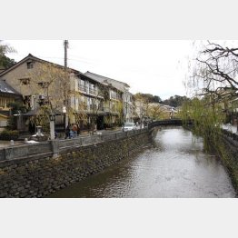 風情はある／（Ｃ）日刊ゲンダイ