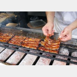 素人には区別不可能？／（Ｃ）日刊ゲンダイ