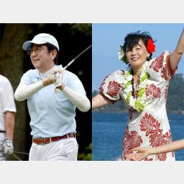 夫婦別行動でそれぞれの休日を満喫／（Ｃ）日刊ゲンダイ