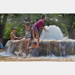 （Ｃ）日刊ゲンダイ