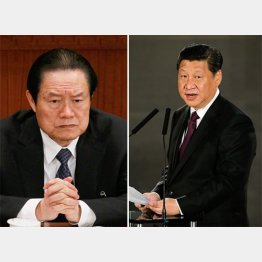 立件される周永康（左）と大ナタふるう習近平／（Ｃ）ＡＰ