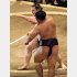 他の力士への悪影響も／（Ｃ）日刊ゲンダイ