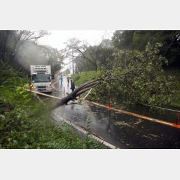 あらゆるエリアで起こる可能性／（Ｃ）日刊ゲンダイ