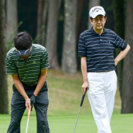 （Ｃ）日刊ゲンダイ