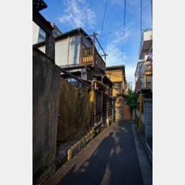 （Ｃ）日刊ゲンダイ