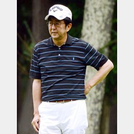 遊びの間に公務？／（Ｃ）日刊ゲンダイ