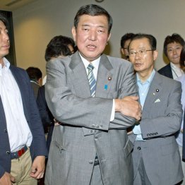 抜群の地方人気／（Ｃ）日刊ゲンダイ