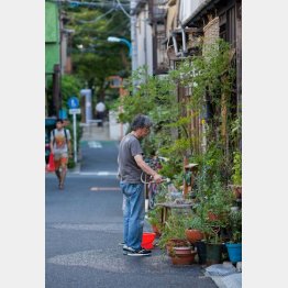 （Ｃ）日刊ゲンダイ