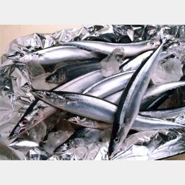 庶民には手が出なくなる？／（Ｃ）日刊ゲンダイ