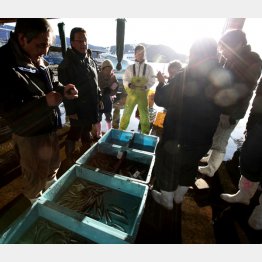 写真はイメージ／（Ｃ）日刊ゲンダイ