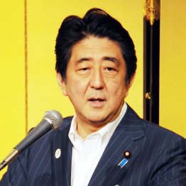 お手盛り会議を設置／（Ｃ）日刊ゲンダイ