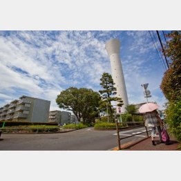 （Ｃ）日刊ゲンダイ