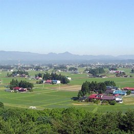 写真はイメージ／（Ｃ）日刊ゲンダイ