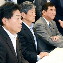 与党協議の中心人物だった／（Ｃ）日刊ゲンダイ