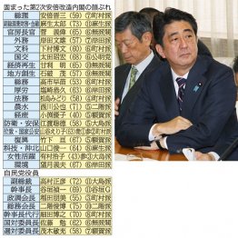 第２次安倍改造内閣と自民党役員の面々／（Ｃ）日刊ゲンダイ