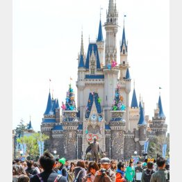 蚊にとって楽園ではない／（Ｃ）日刊ゲンダイ