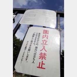 “震源地”の代々木公園は立入禁止に／（Ｃ）日刊ゲンダイ