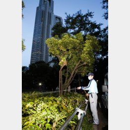 殺虫剤を散布しても蚊はいなくならない／（Ｃ）日刊ゲンダイ