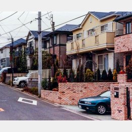 写真はイメージ／（Ｃ）日刊ゲンダイ