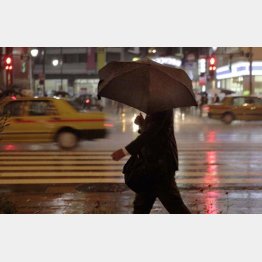 ムダに動き回らない／（Ｃ）日刊ゲンダイ