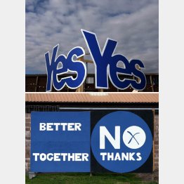 世論調査では勢力拮抗／（Ｃ）ＡＰ