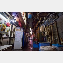 （Ｃ）日刊ゲンダイ