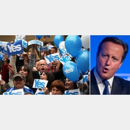 独立支持層が急伸（頭が痛いキャメロン英首相）／（Ｃ）ＡＰ