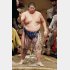 すでに大関の風格？／（Ｃ）日刊ゲンダイ