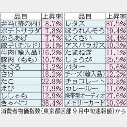 （Ｃ）日刊ゲンダイ