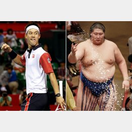 ホットな２人（錦織圭選手と逸ノ城）／（Ｃ）日刊ゲンダイ