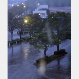 大人も吹き飛びそうな強風／（Ｃ）日刊ゲンダイ